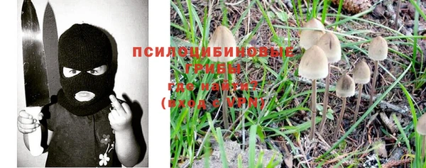 бутират Иннополис