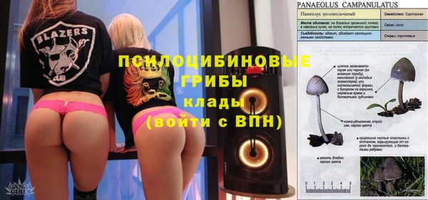 бутират Иннополис